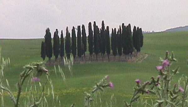 B&B Il Vecchietta Castiglione d'Orcia Exterior photo